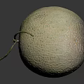 Fresh Round Cantaloupe with Green Netted Texture and Stem on Black Background 3d model