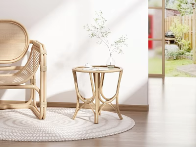 Round Wicker Side Table With Chair Round Rug Green Plant Near Window Indoor Garden View 3d model