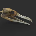 Marine Aquatic Animal Skull Featuring Long Sharp Beak and Bone Structure Details 3d model
