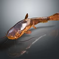 Freshwater Aquatic Animal With Long Whiskers Brown Spotted Body Fins And Tail