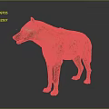 Realistic Spotted Hyena Standing in Studio with Gray Background and Detailed Fur