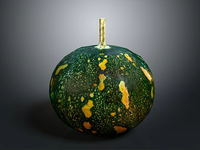 Fresh Green Pumpkin With Yellow Spots And Golden Stem On Dark Background 3d model