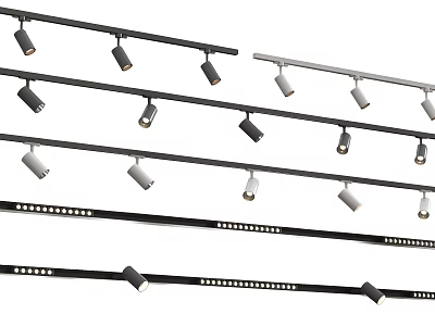Adjustable Track Mounted Downlights and Spotlights with Multiple Heads for Indoor Lighting 3d model