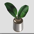 Fresh Large Green Banana Leaves in Brown Vase with White Stripes