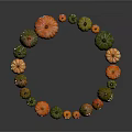 Fresh Colorful Pumpkins Arranged In Circle With Carved Faces And Various Sizes