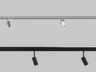 Track Mounted Black Silver Downlights and Spotlights for Indoor Ceiling Lighting 3d model
