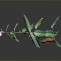 Green Plant With Pink Flower Green And Orange Leaves On Gray Background