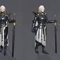 Armored Fantasy Characters With Golden Decorated Armor Swords And White Capes