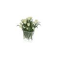 Decorative Arrangement with White Tulip Bouquets in Transparent Glass Vases for Home Interior