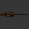 Modern skeleton dinosaur skeleton dinosaur fossil 3d model