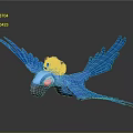 Blue Parrot Flying With Spread Wings Crown Like Decoration Pink Beak White Eyes Gray Background