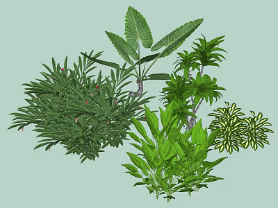 Different Varieties of Shrubs With Lush Green Leaves for Garden Landscaping 3d model