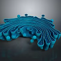 modern eukaryotic cell cross section cell structure cell tissue 3d model