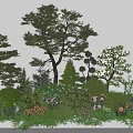 Diverse Garden Flowers And Plants With Shrubs Trees And Lush Greenery