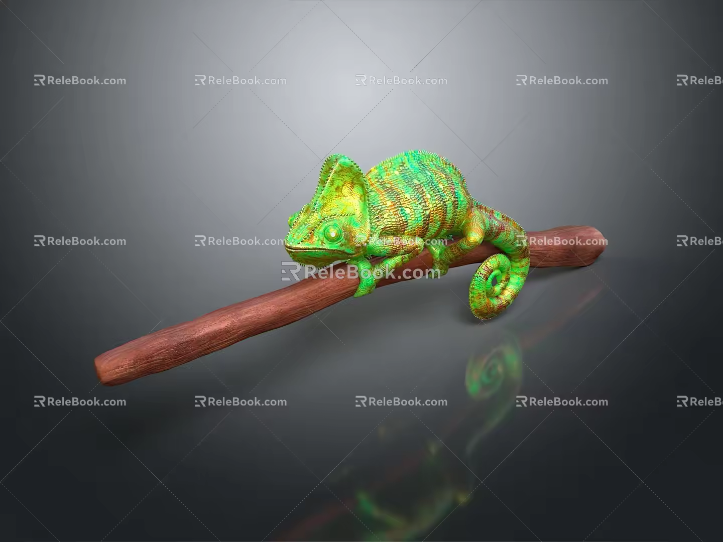 Lizard Anime Lizard Chameleon Cartoon Lizard Reptile Cold Blooded Animal Reptile Class 3d model