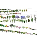 Various Tree Varieties With Different Shapes And Colors For Landscaping Design 3d model