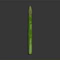 Fresh Green Asparagus Spear With Tender Tips And Crisp Texture