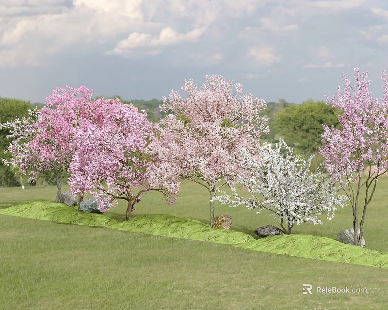 Pink and White Flowering Trees in Lush Green Grassland with Distant Trees and Cloudy Sky 3d model 