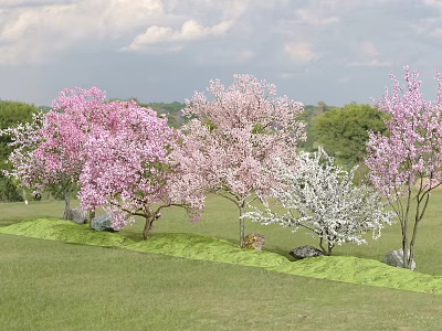 Pink and White Flowering Trees in Lush Green Grassland with Distant Trees and Cloudy Sky 3d model