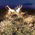 Enchanting Garden Landscape with Illuminated Crane Sculptures on Nighttime Grassland with Lighting Decorations and Trees
