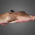 Whole Fresh Fish With Pinkish Brown Body And Fins On Gray Background