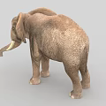 Realistic 3D Reptile Model With Brown Skin Standing On Gray Background