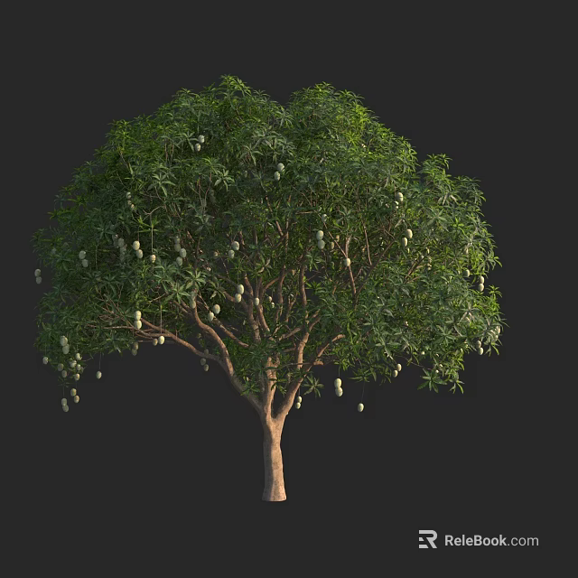 Tall Arbor With Lush Green Leaves And Hanging Fruits On Sturdy Trunk 3d model 