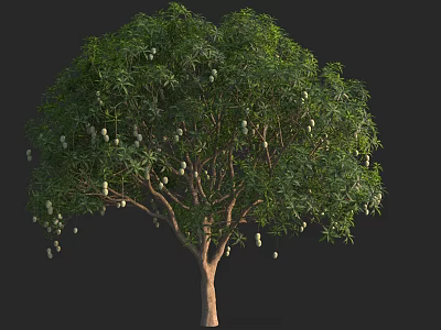 Tall Arbor With Lush Green Leaves And Hanging Fruits On Sturdy Trunk 3d model
