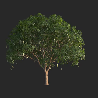 Tall Arbor With Lush Green Leaves And Hanging Fruits On Sturdy Trunk 3d model