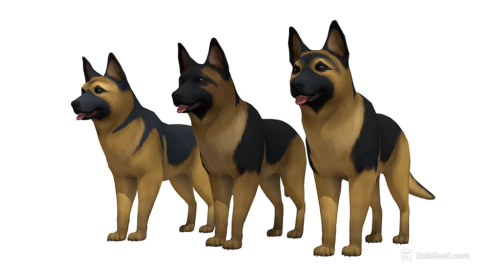 Three German Shepherds Standing Together With Alert Expressions And Healthy Coats 3d model 