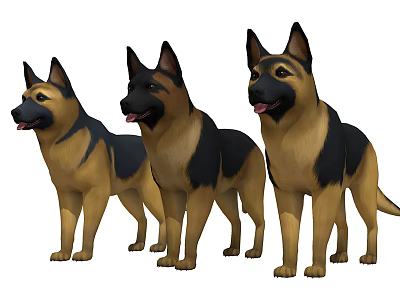Three German Shepherds Standing Together With Alert Expressions And Healthy Coats 3d model