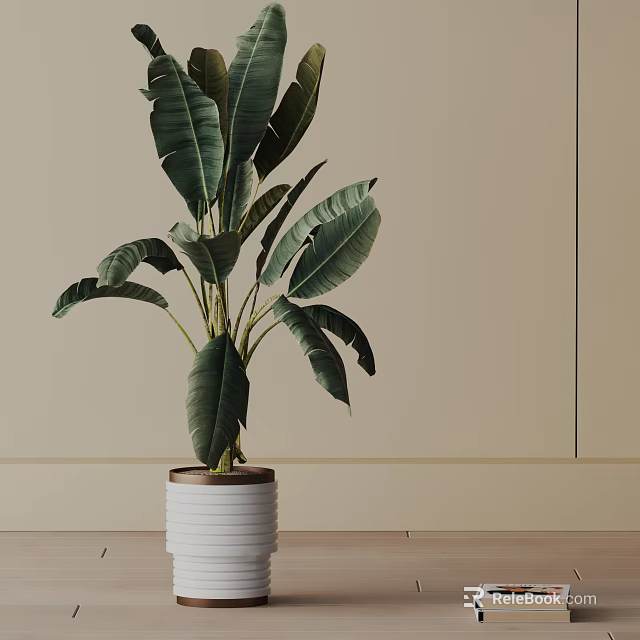 Lush Green Potted Plant With Large Leaves In White Striped Pot On Indoor Wooden Floor 3d model 