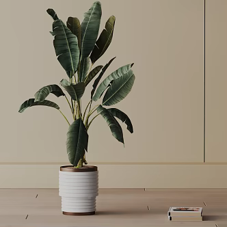 Modern Potted Plant 3d model