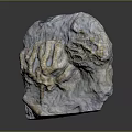 Ancient Prehistoric Marine Animal Fossil Embedded in Detailed Natural Stone Formation