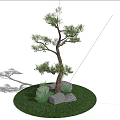 Single Tree With Green Grass And Gray Stones Under Blue Sky And Clouds