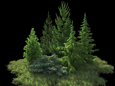 Various Green Bushes Growing On Lush Grassy Area With Different Foliage 3d model