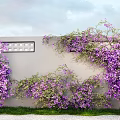 Purple Flowering Vines Covering Gray Wall With White Grid Window Green Grass And Small Stones
