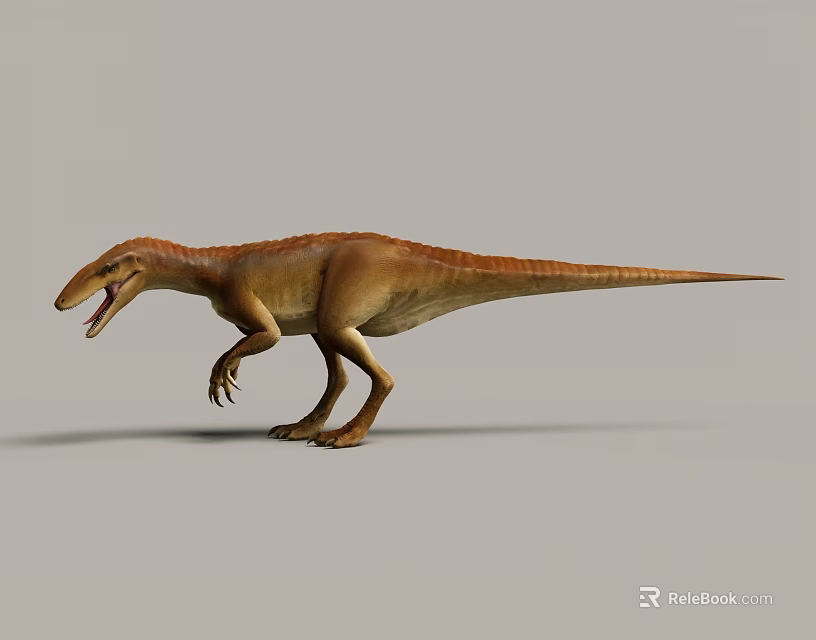 Standing Reptile Dinosaur with Open Mouth Sharp Teeth and Brown Orange Skin on Grey Background 3d model 