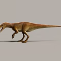 Standing Reptile Dinosaur with Open Mouth Sharp Teeth and Brown Orange Skin on Grey Background