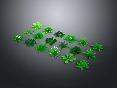 Collection of Green Plant Leaves with Various Shapes and Sizes on Dark Gray Background 3d model