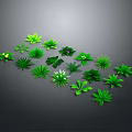 Collection of Green Plant Leaves with Various Shapes and Sizes on Dark Gray Background