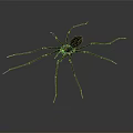 Large Spider With Long Legs And Dark Striped Body On Gray Gradient Background