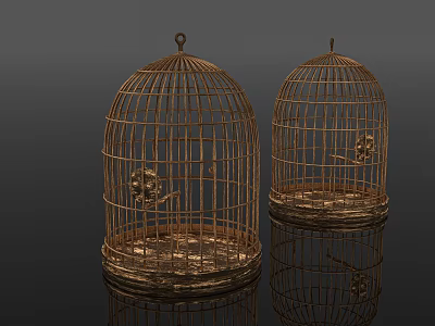 Two Ornate Golden Metal Birdcages On Black Background With Reflections 3d model