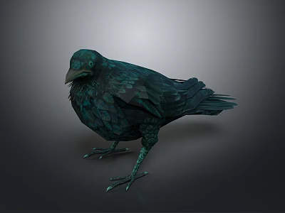 Crow With Teal Iridescent Shiny Feathers Standing On Dark Background 3d model