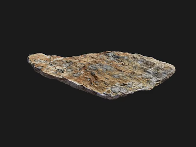 Natural Stone Wood Slab With Irregular Shape And Brown Gray Texture On Black Background 3d model