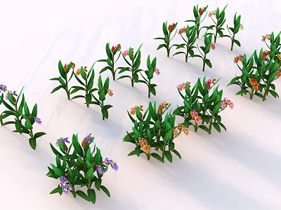Modern galangal galangal flower 3d model