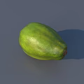 Fresh Green Vegetable Papaya on Gray Background with Soft Natural Shadow 3d model