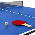 Blue Ping Pong Table With Net Paddles And Balls For Sports Equipment