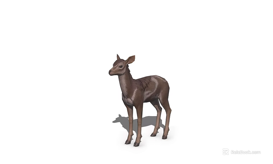 Detailed Realistic Brown Deer 3D Model in Standing Pose with Shadow 3d model