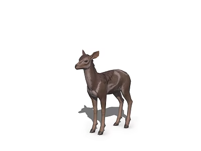 Detailed Realistic Brown Deer 3D Model in Standing Pose with Shadow 3d model